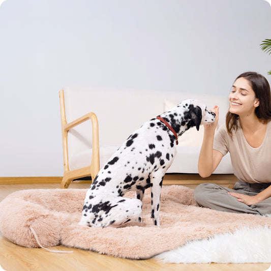 Large Fluffy Dog Bed - Beige