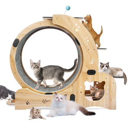 4-in-1 Cat Exercise Wheel - Upgraded Treadmill