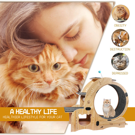 4-in-1 Cat Exercise Wheel - Upgraded Treadmill