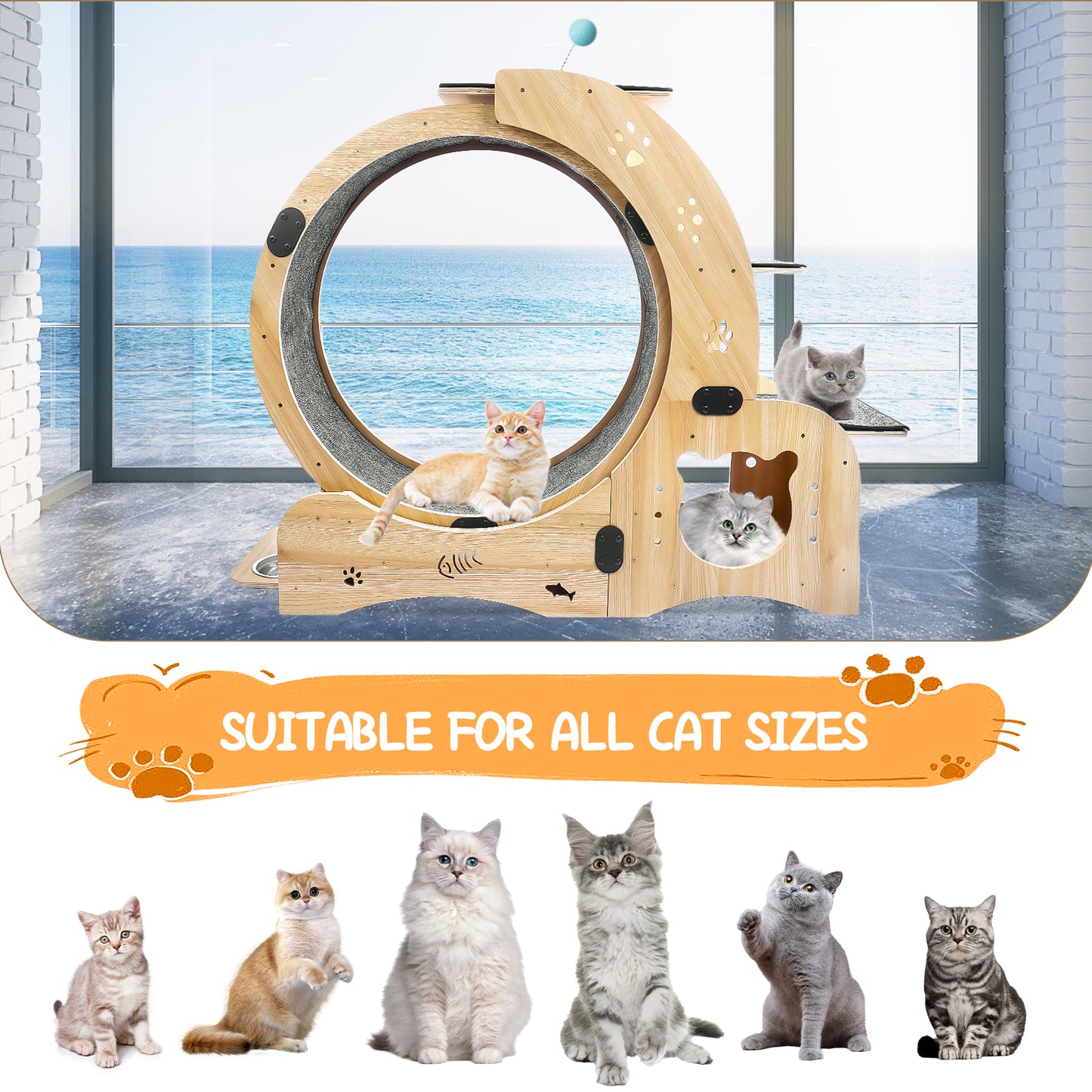 4-in-1 Cat Exercise Wheel - Upgraded Treadmill