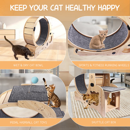 4-in-1 Cat Exercise Wheel - Upgraded Treadmill